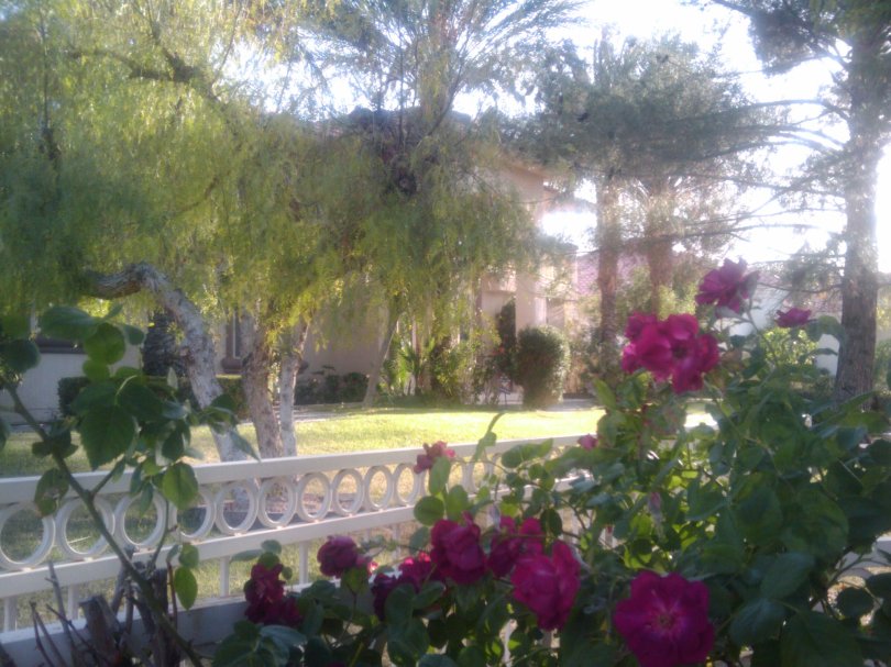 Stardust Manor Las Vegas Vacation Rental by Chez Paulina